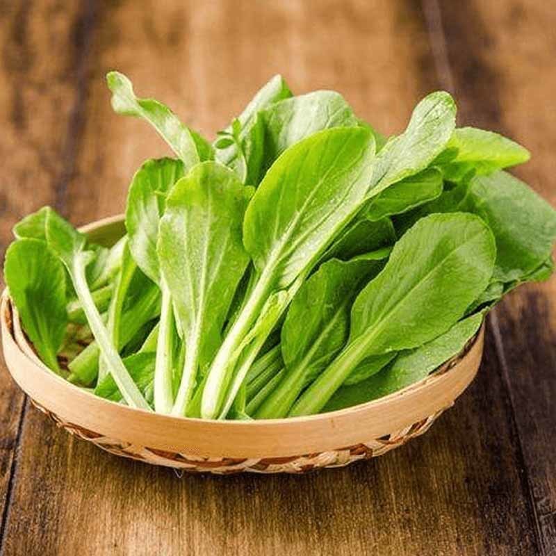 连云港食材批发
